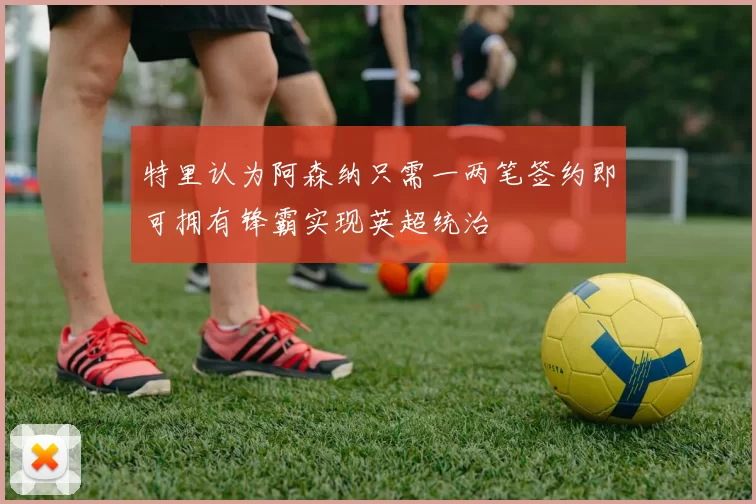 特里认为阿森纳只需一两笔签约即可拥有锋霸实现英超统治
